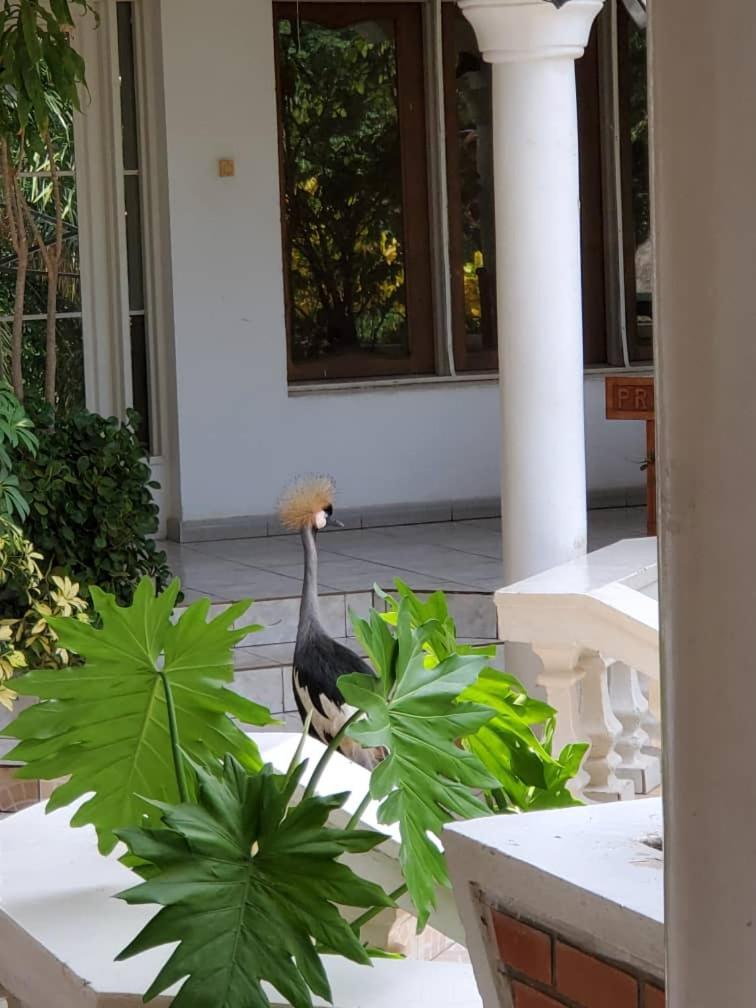 Kiriri Residence Hotel Бужумбура Экстерьер фото